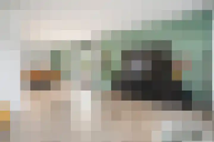 Linde 12 Coevorden thumbnail 11
