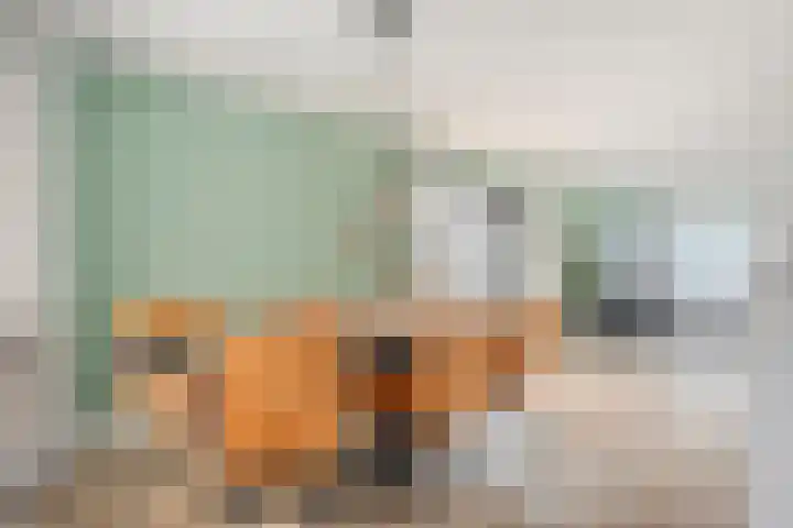 Linde 12 Coevorden thumbnail 12