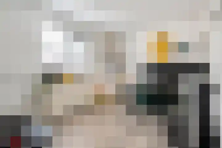 Linde 12 Coevorden thumbnail 20