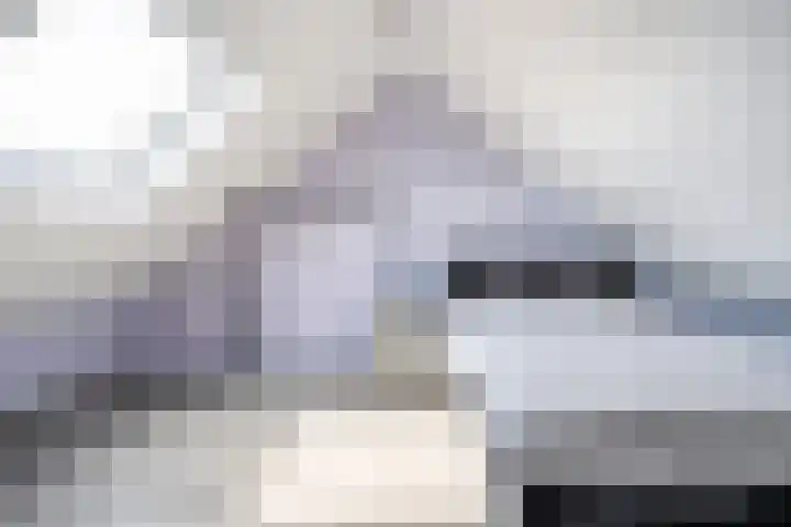 Linde 12 Coevorden thumbnail 38