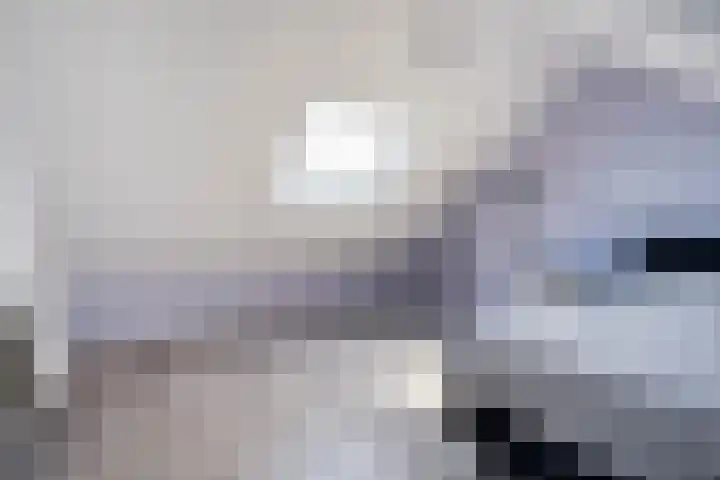 Linde 12 Coevorden thumbnail 39