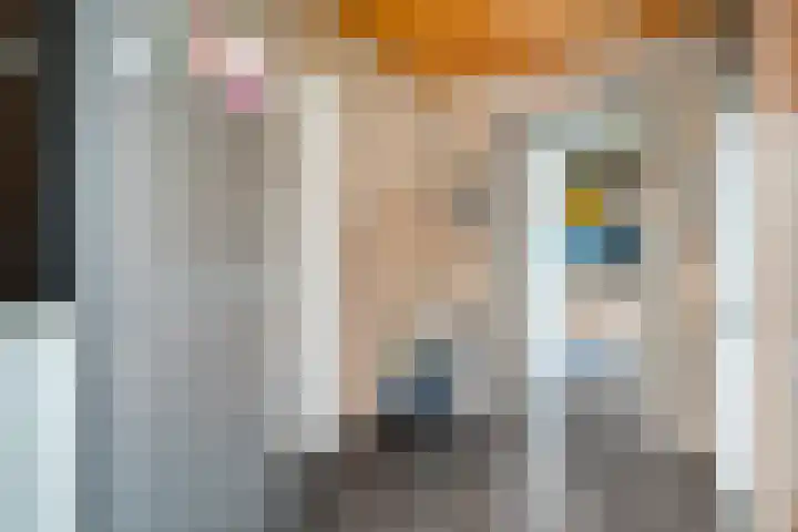 Linde 12 Coevorden thumbnail 42