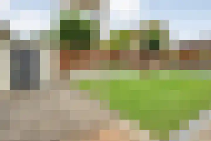 Linde 12 Coevorden thumbnail 45