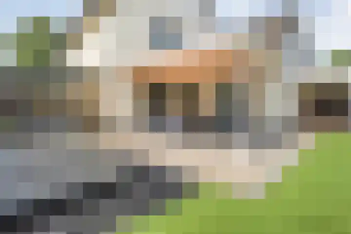 Linde 12 Coevorden thumbnail 49