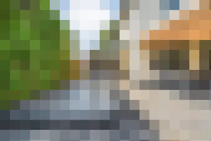 Linde 12 Coevorden thumbnail 50