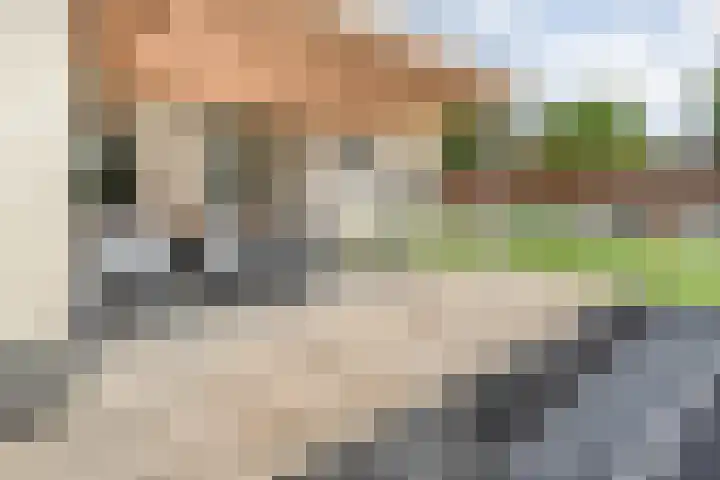 Linde 12 Coevorden thumbnail 54