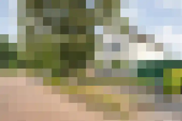 Linde 12 Coevorden thumbnail 57