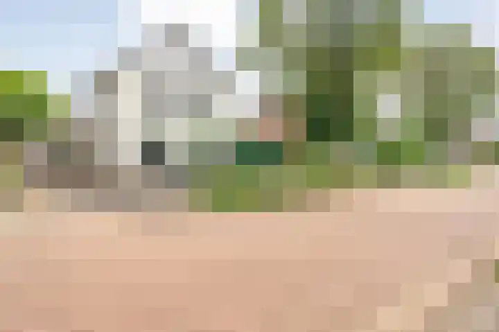 Linde 12 Coevorden thumbnail 59