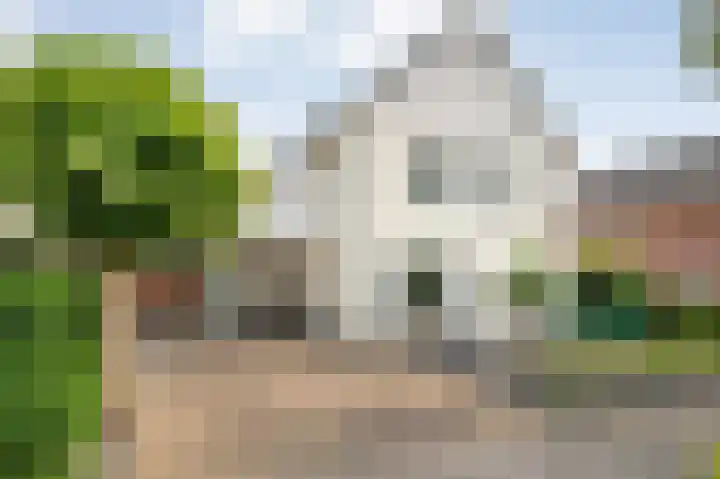 Linde 12 Coevorden thumbnail 60