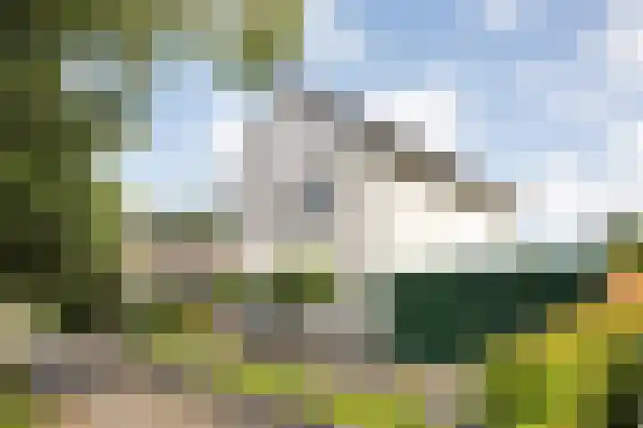 Linde 12 Coevorden thumbnail 64