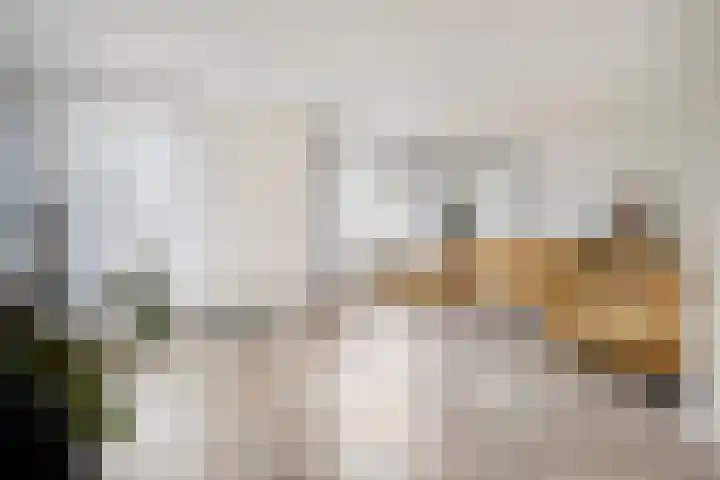 Linde 12 Coevorden thumbnail 7