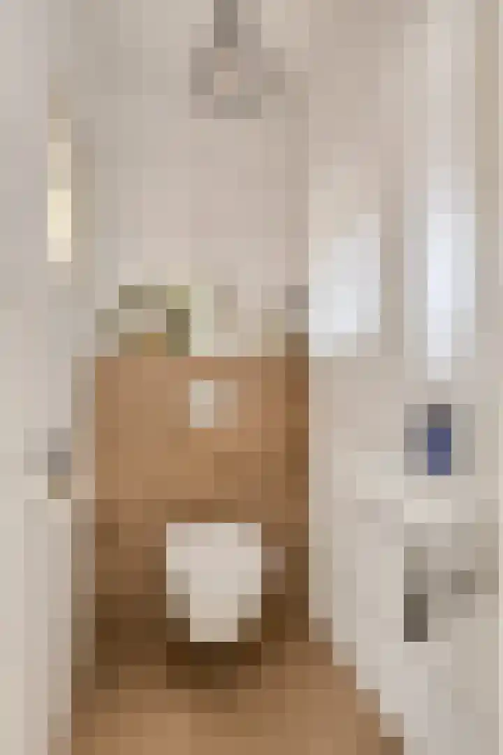 Linde 12 Mierlo thumbnail 12