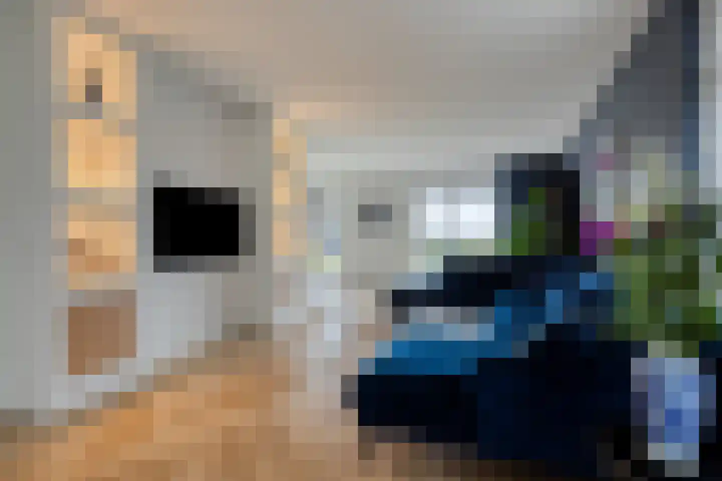 Linde 12 Mierlo thumbnail 16