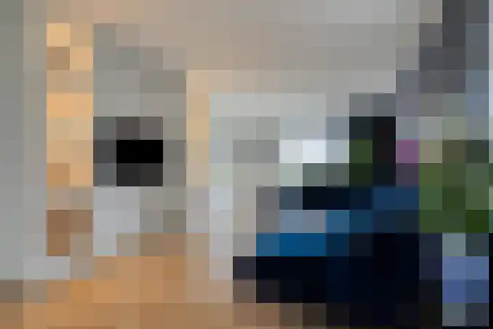 Linde 12 Mierlo thumbnail 16