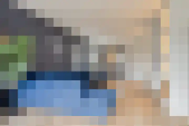 Linde 12 Mierlo thumbnail 17