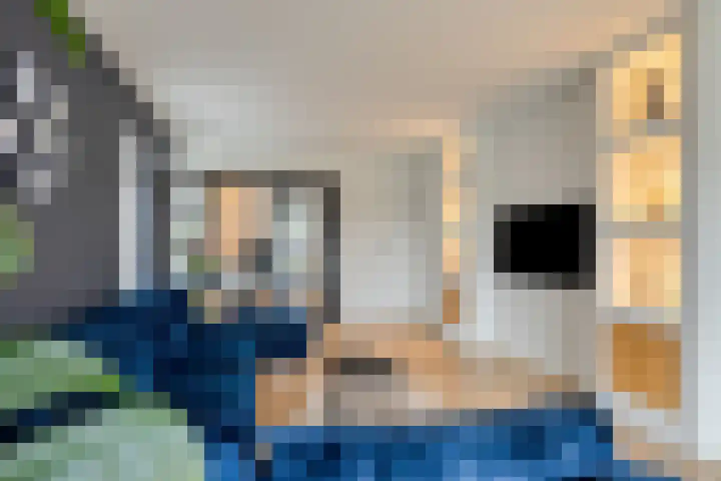 Linde 12 Mierlo thumbnail 18