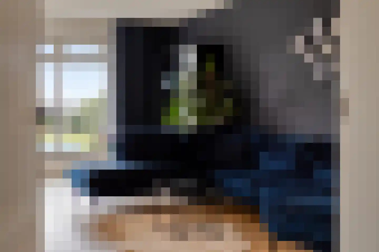 Linde 12 Mierlo thumbnail 19