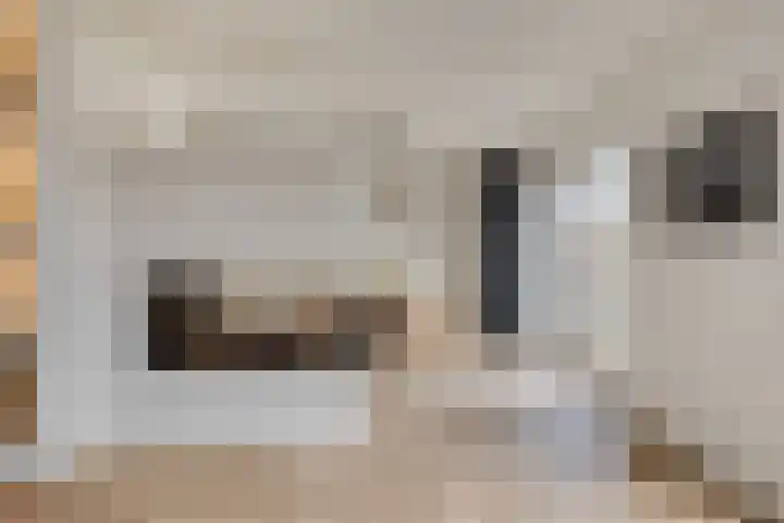 Linde 12 Mierlo thumbnail 24