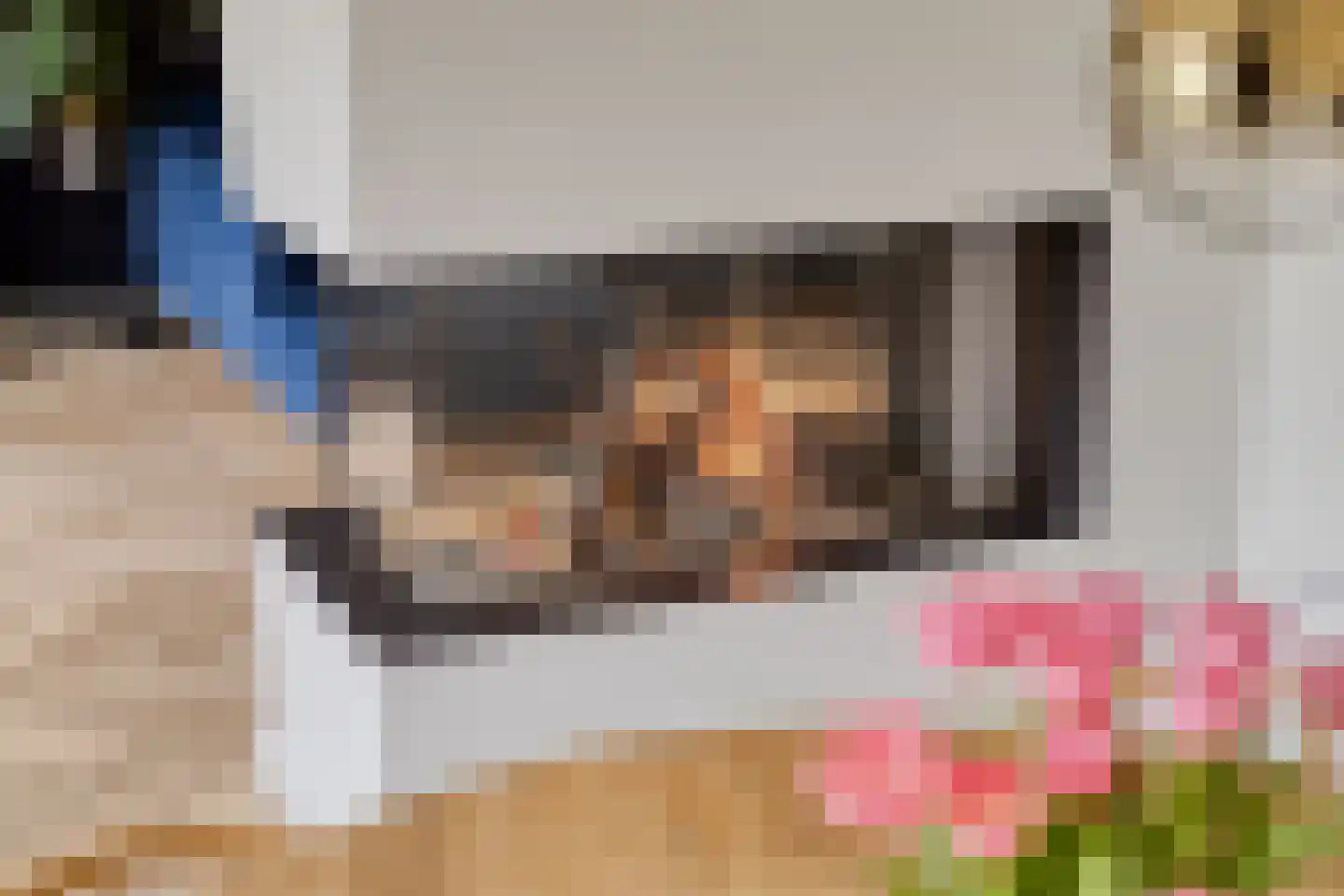 Linde 12 Mierlo thumbnail 25
