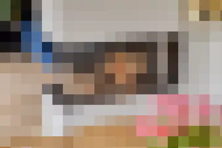 Linde 12 Mierlo thumbnail 25