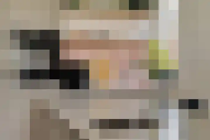 Linde 12 Mierlo thumbnail 33