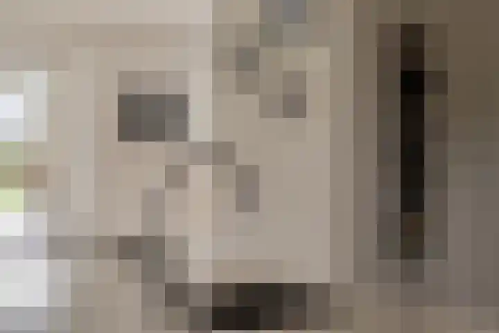 Linde 12 Mierlo thumbnail 36