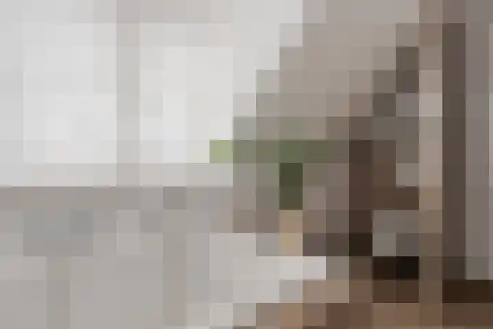 Linde 12 Mierlo thumbnail 48