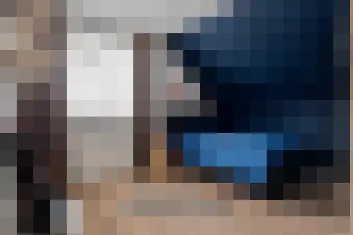 Linde 12 Mierlo thumbnail 53