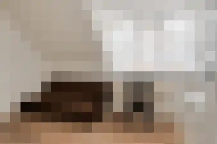 Linde 12 Mierlo thumbnail 55