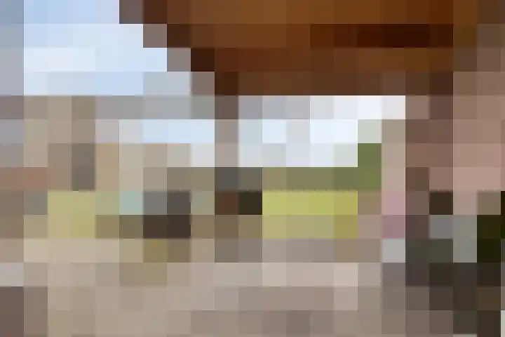 Linde 12 Mierlo thumbnail 61