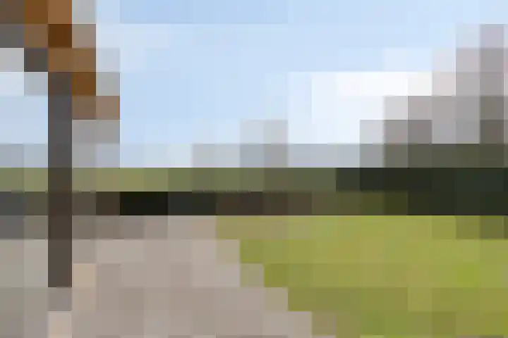 Linde 12 Mierlo thumbnail 63
