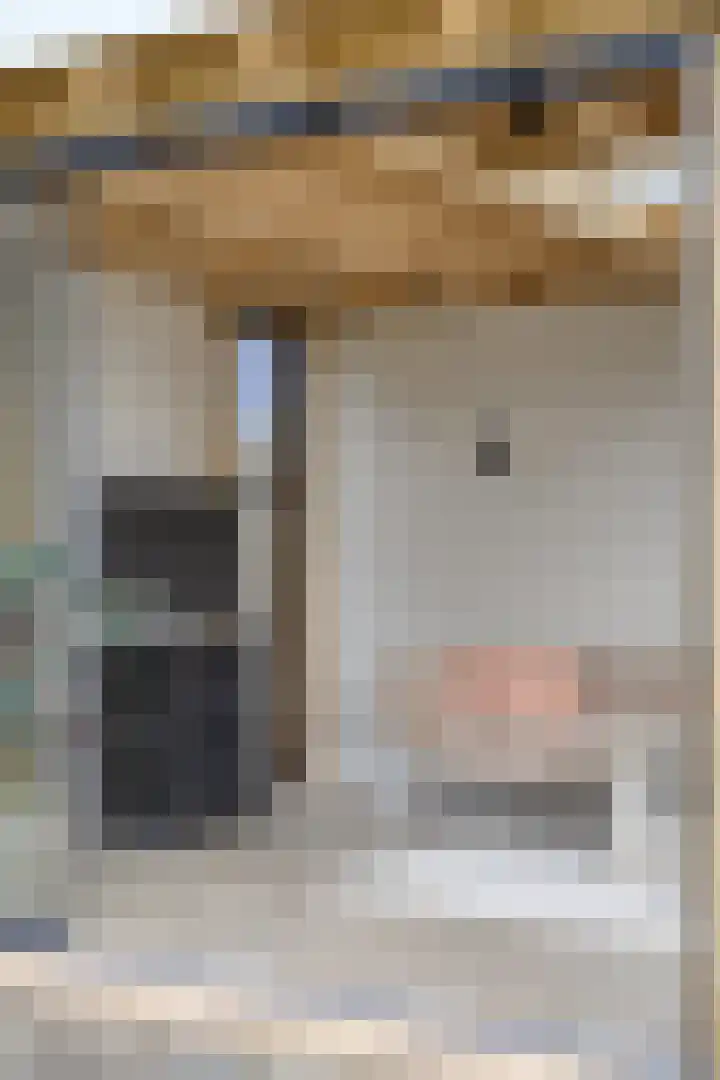 Linde 12 Mierlo thumbnail 72