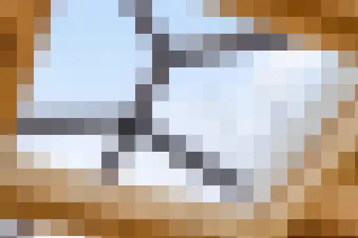 Linde 12 Mierlo thumbnail 73