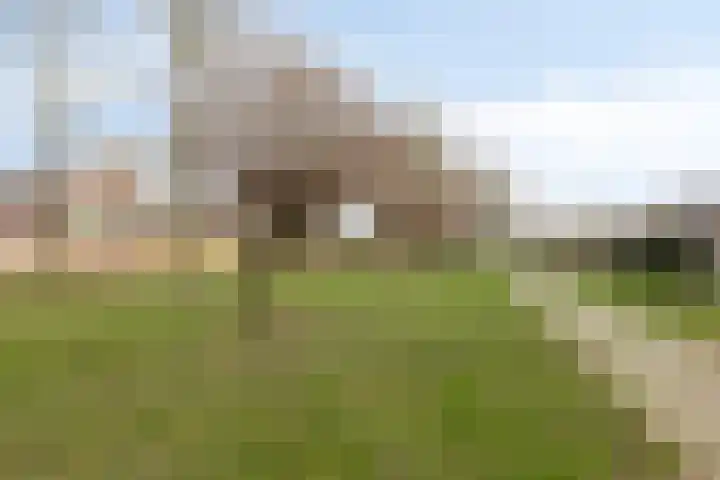 Linde 12 Mierlo thumbnail 79