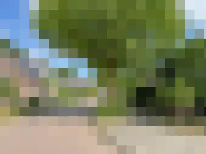 Linde 14 Coevorden thumbnail 10