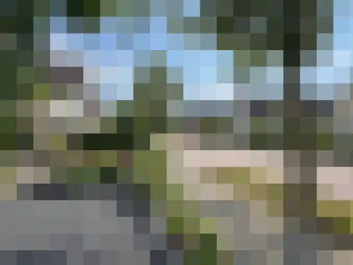 Linde 14 Coevorden thumbnail 11