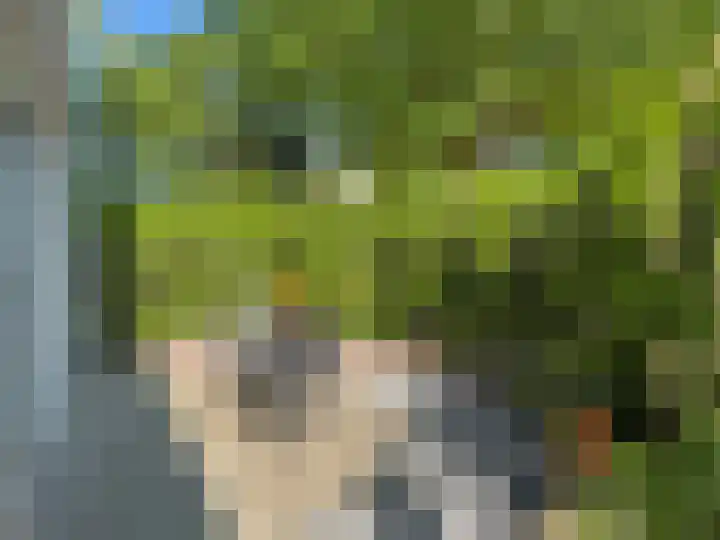 Linde 14 Coevorden thumbnail 14