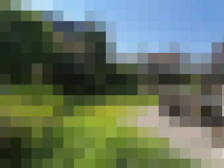 Linde 14 Coevorden thumbnail 16