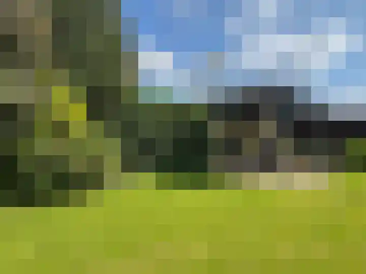 Linde 14 Coevorden thumbnail 17