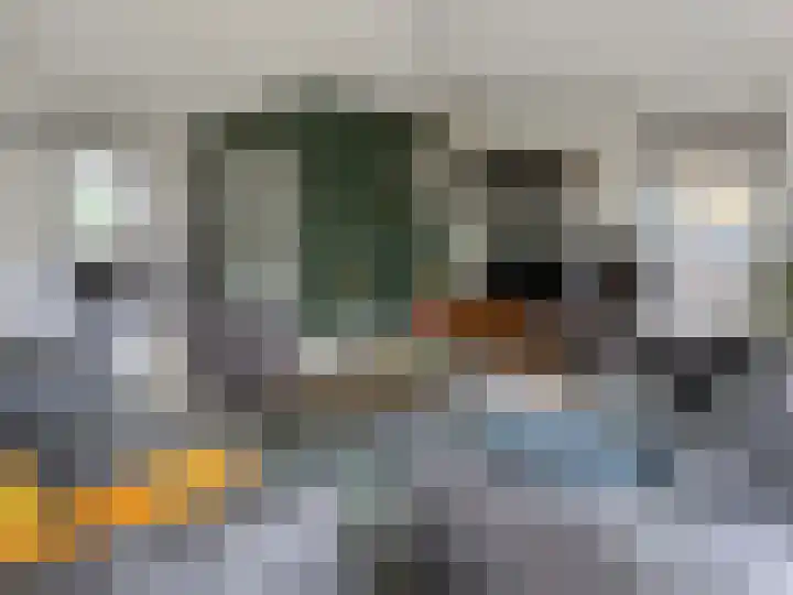 Linde 14 Coevorden thumbnail 22