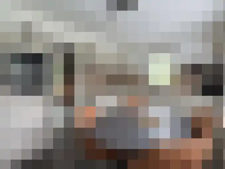 Linde 14 Coevorden thumbnail 5
