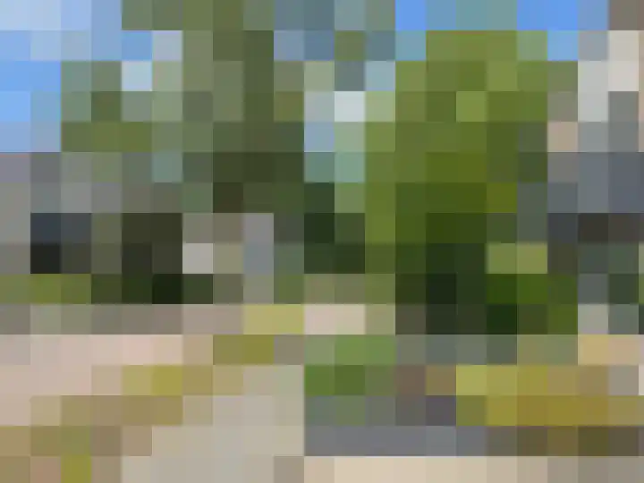 Linde 14 Coevorden thumbnail 7