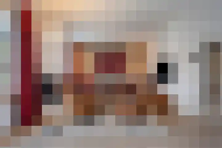 Linde 14 Mierlo thumbnail 12