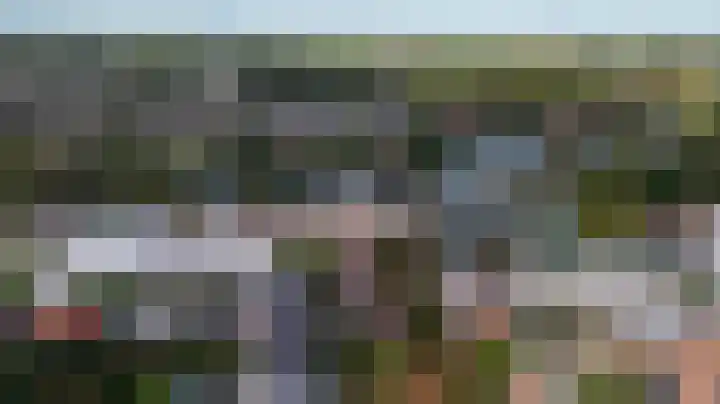 Linde 14 Mierlo thumbnail 13