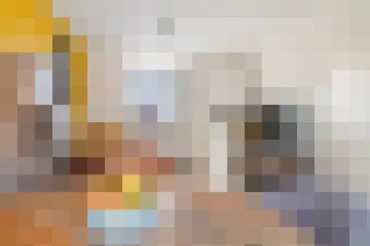 Linde 14 Mierlo thumbnail 14
