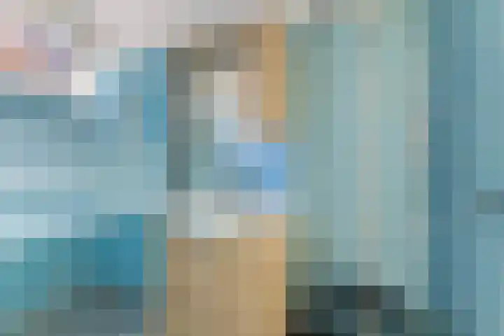 Linde 14 Mierlo thumbnail 16