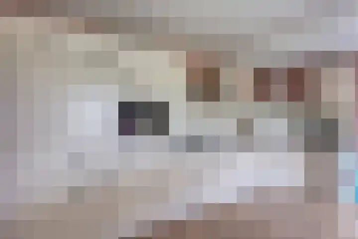 Linde 14 Mierlo thumbnail 17