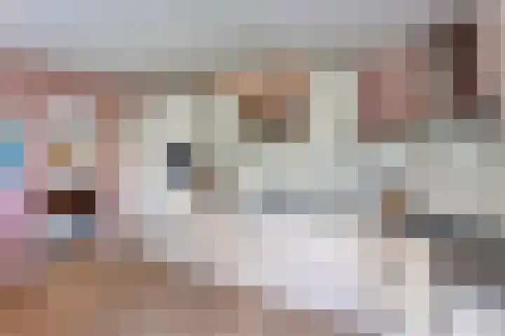 Linde 14 Mierlo thumbnail 18