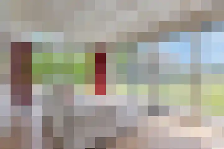 Linde 14 Mierlo thumbnail 20