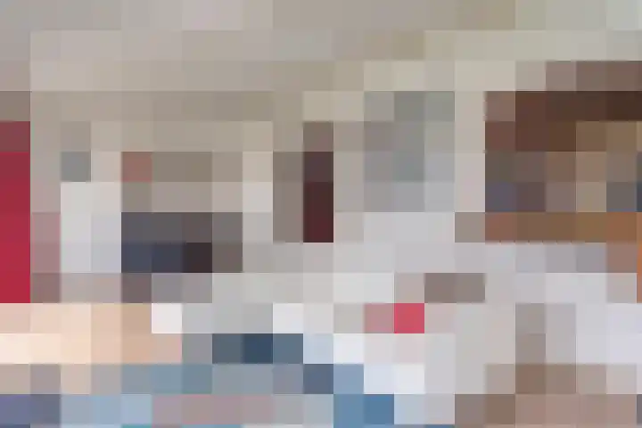 Linde 14 Mierlo thumbnail 21